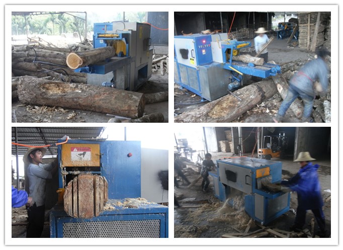 海口-原木多片鋸工作圖