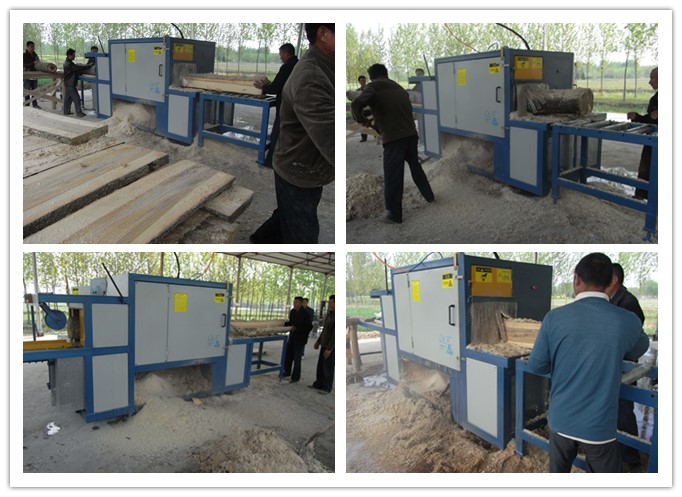 河南信陽--原木多片鋸工作圖