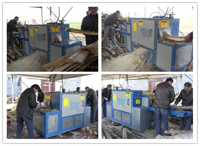 河南省陽唐河縣--原木多片鋸工作圖