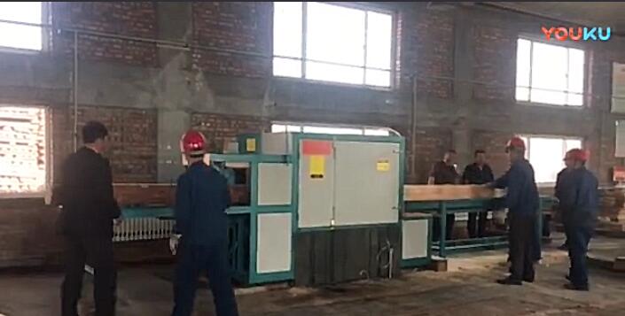 原木多片鋸工作視頻（圓木、方木一起加工）