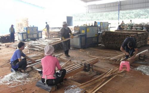 海南島-方木多片鋸加工現(xiàn)場