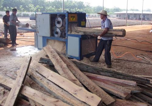 海南島-圓木多片鋸25加工現(xiàn)場