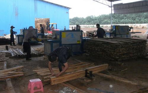 海南島-圓木-方木-多片鋸加工現(xiàn)場