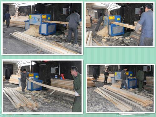 浙江-上海-鋸方木高150原木多片鋸-加工現場