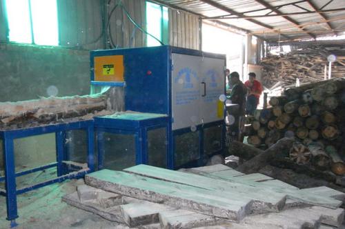 浙江省寧波市北侖區-圓木多片鋸350機加工現場