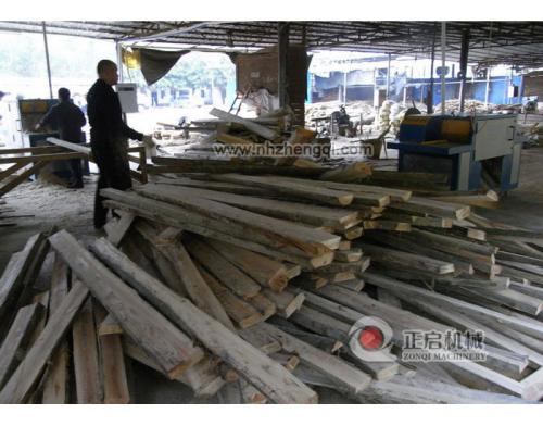 廣東增城鋸桉木加工現場