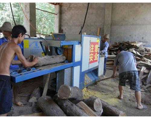 湖北省荊州市-圓木多片鋸25加工現場