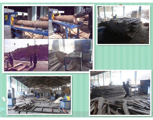 吉林梅河口-圓木300多片鋸-方木150高多片鋸加工現場0