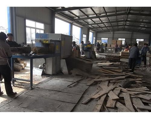 江蘇省-淮安市-楚洲區-鋸35圓木加工現場0