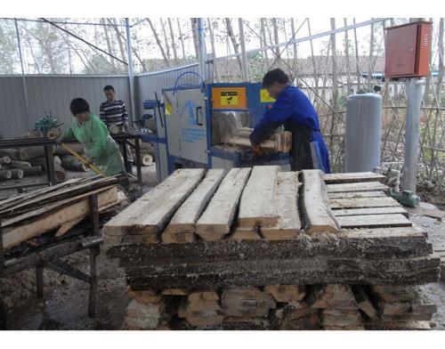 原木多片鋸-安徽合肥舒城加工現(xiàn)場